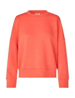 Gill-M Sweater - Koraal