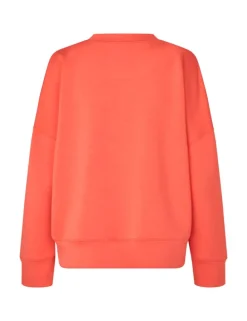 Gill-M Sweater - Koraal
